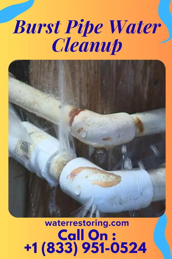 Burst Pipe Water Cleanup in McHenry, KY