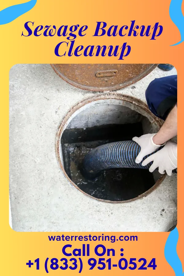 Sewage Backup Cleanup in McHenry, KY